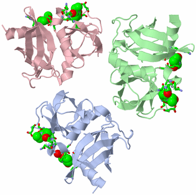 Image Asym. Unit - sites