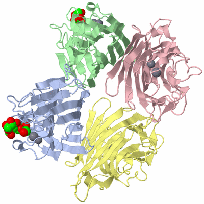 Image Biological Unit 1