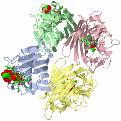 Image Biol. Unit 1 - sites