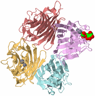 Image Biological Unit 2