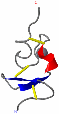 Image NMR Structure - model 1