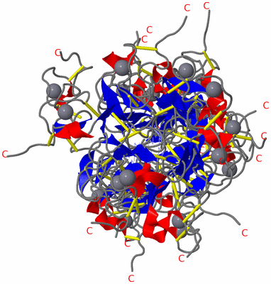 Image NMR Structure - all models