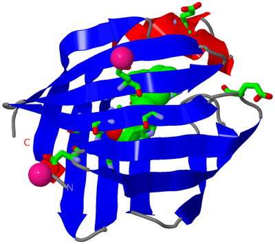 Image Asym./Biol. Unit - sites