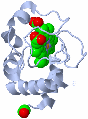 Image Biological Unit 1