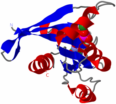 Image NMR Structure - model 1