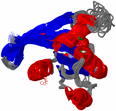 Image NMR Structure - all models