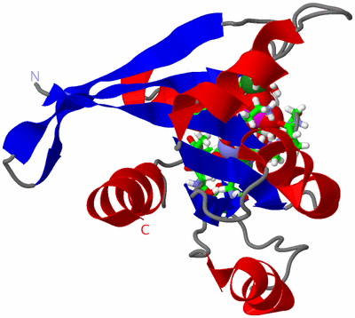 Image NMR Structure - model 1, sites