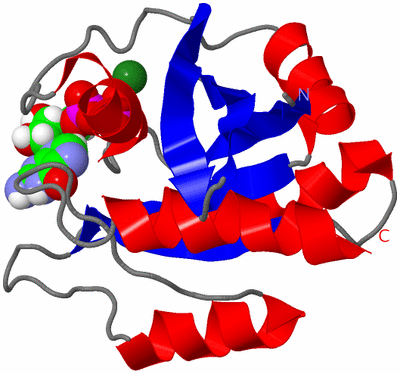 Image NMR Structure - model 1