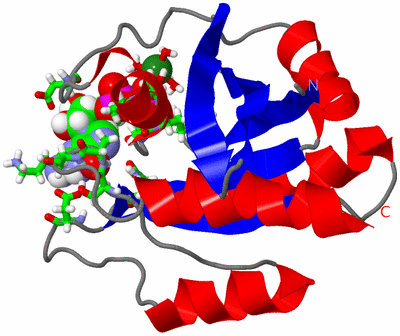 Image NMR Structure - model 1, sites