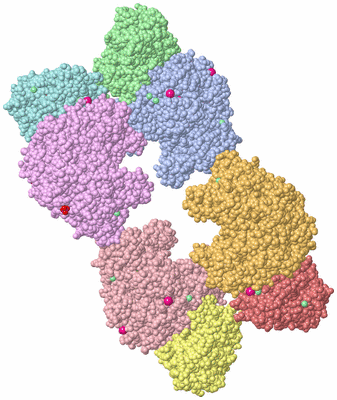 Image Biological Unit 1