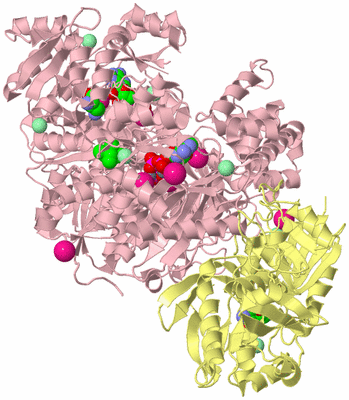 Image Biological Unit 2