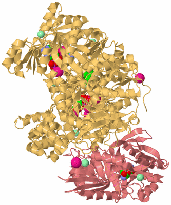 Image Biological Unit 3