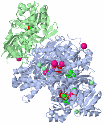 Image Biological Unit 4