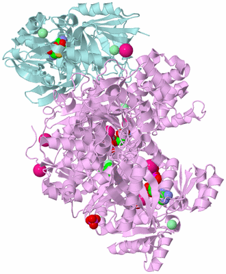 Image Biological Unit 5