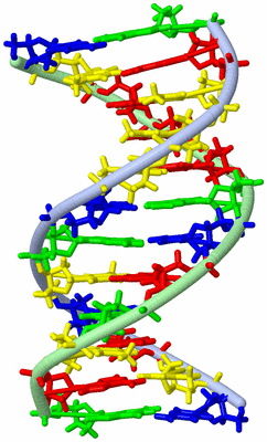 Image NMR Structure - model 1