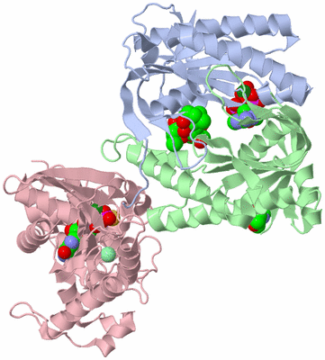 Image Asym./Biol. Unit