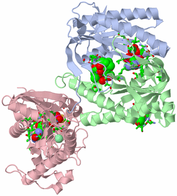 Image Asym./Biol. Unit - sites