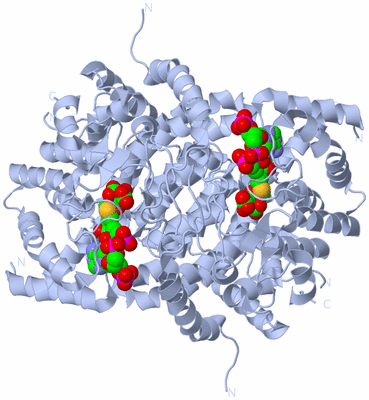 Image Biological Unit 1