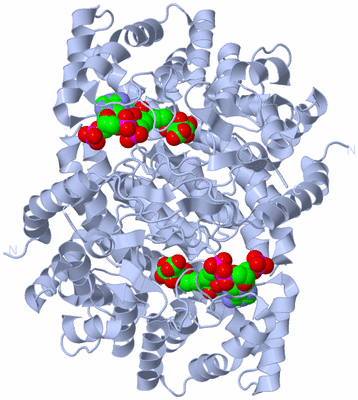 Image Biological Unit 1