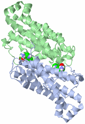 Image Asym./Biol. Unit