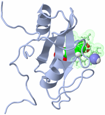 Image NMR Structure - model 1