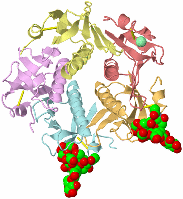 Image Asym./Biol. Unit