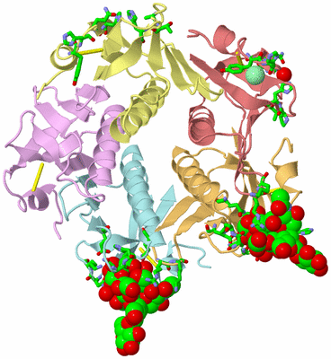 Image Asym./Biol. Unit - sites