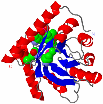 Image Asym./Biol. Unit