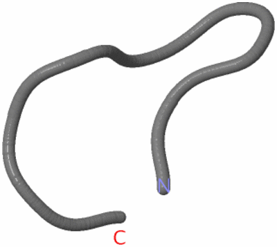 Image NMR Structure - model 1