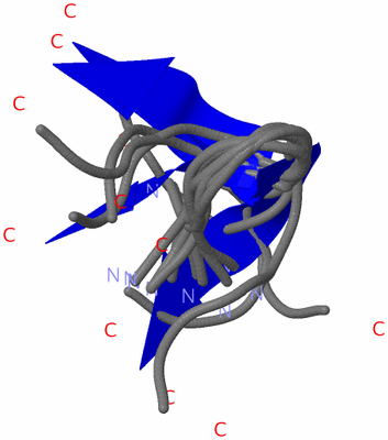 Image NMR Structure - all models