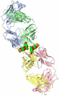 Image Biological Unit 1