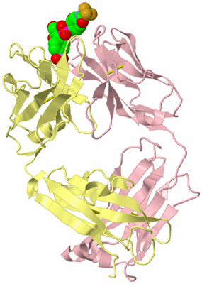 Image Biological Unit 2