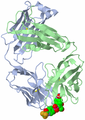 Image Biological Unit 3