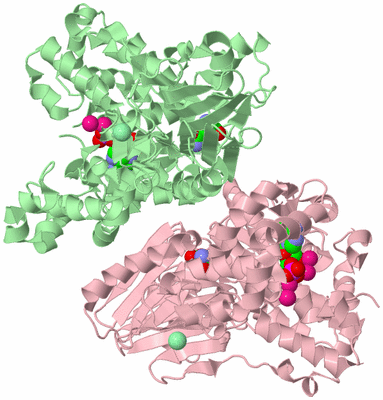 Image Biological Unit 2