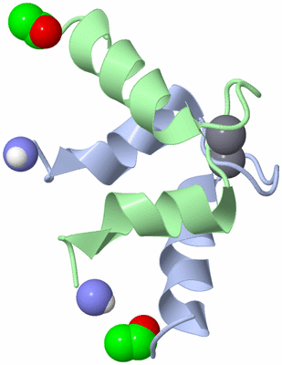 Image NMR Structure - model 1