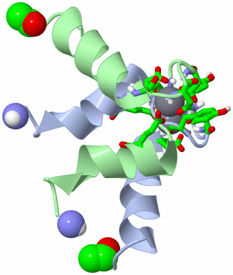 Image NMR Structure - model 1, sites