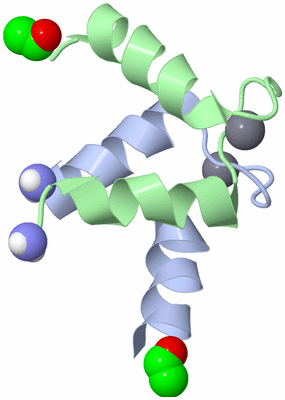 Image NMR Structure - model 1