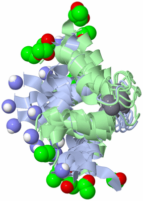 Image NMR Structure - all models