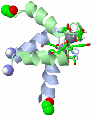 Image NMR Structure - model 1, sites