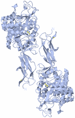 Image Biological Unit 1