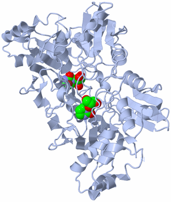 Image Biological Unit 1