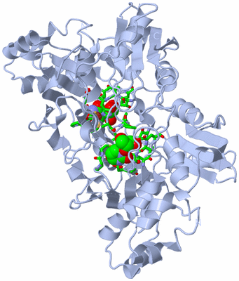 Image Biol. Unit 1 - sites