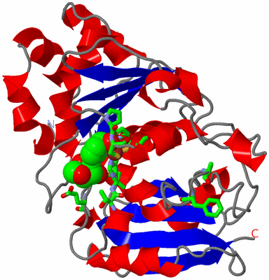 Image Asym. Unit - sites