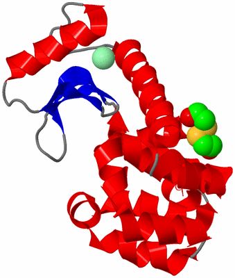 Image Asym./Biol. Unit