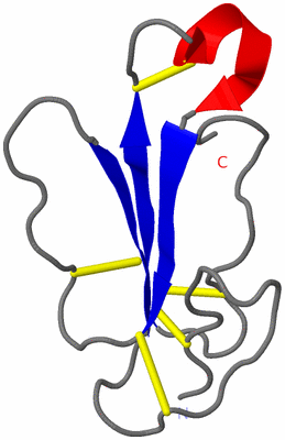 Image Asymmetric Unit