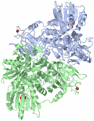 Image Asym./Biol. Unit