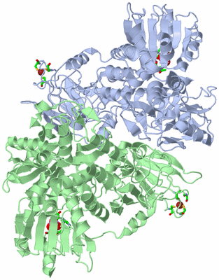 Image Asym./Biol. Unit - sites