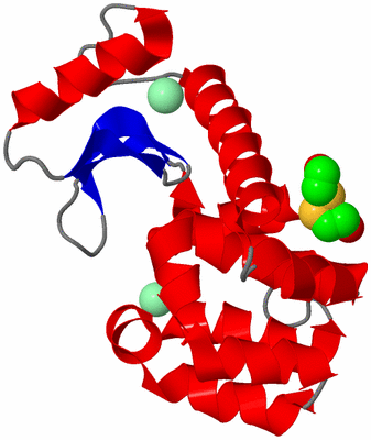 Image Asym./Biol. Unit