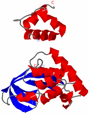 Image Asymmetric Unit