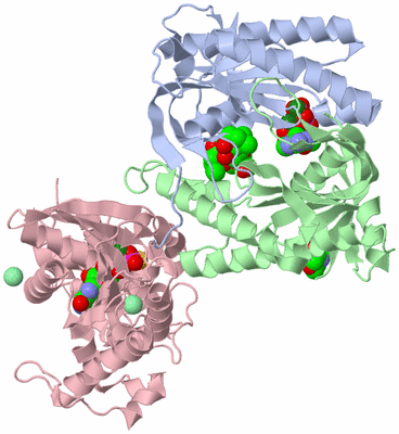 Image Biological Unit 1